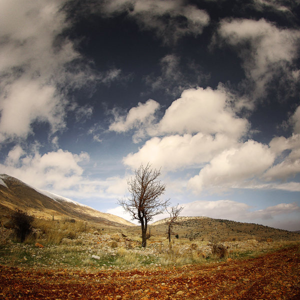 Nature Photography Fields