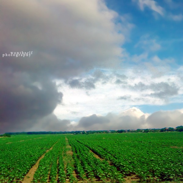 Nature Photography Sky Fields