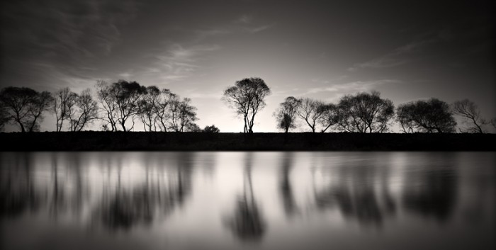 black and white photography trees. Exposure PHotography trees