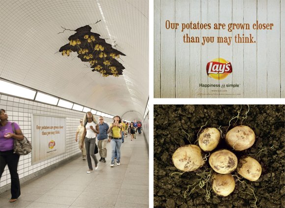 potato grows near you. 