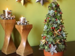 Learn How to Make Your Own Succulent Christmas Tree