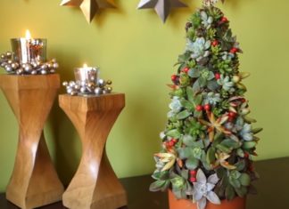 Learn How to Make Your Own Succulent Christmas Tree