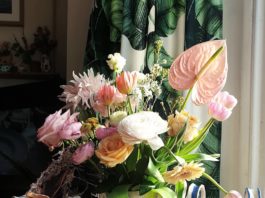 Kimberley Williamson Designs Quirky Carrier Bag Pots