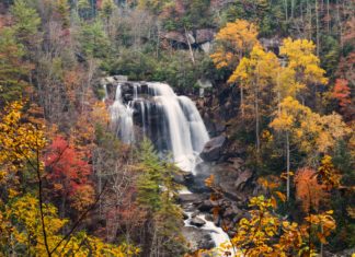 3 Creative Ways to Take Unique Photos of Fall Foliage Autumn scenery