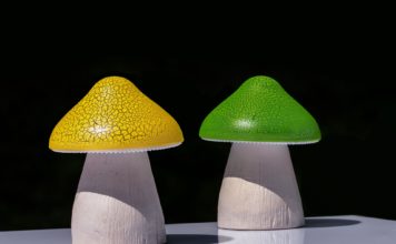 5 Pinterest Home Decor Trends Worth Embracing in 2023 Mushroom lamp